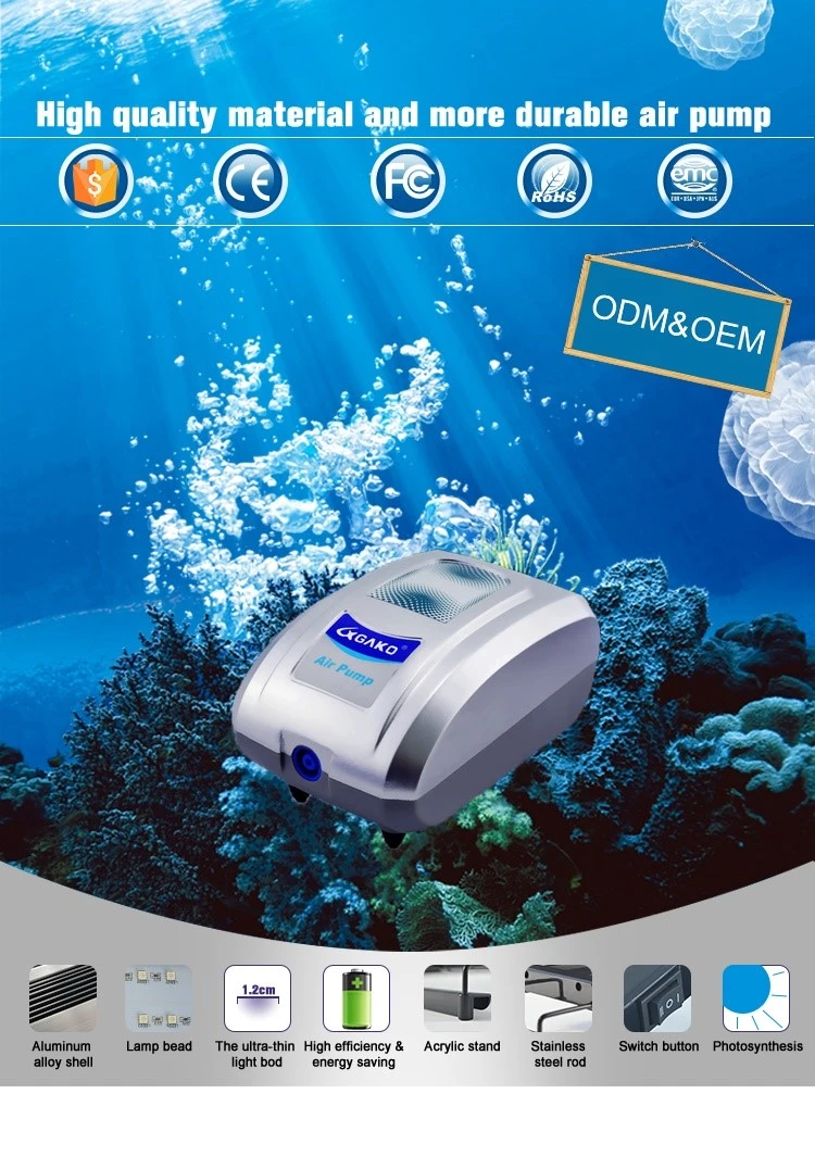 1736504174240